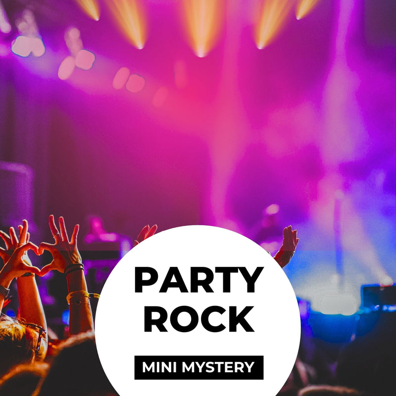 Party Rock Mini Mystery Box